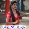 About Sardi Me Dil Rov Song